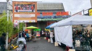 Несмотря на холод и дождь, соотечественники пришли, чтобы отведать вкус родной кухни и активно поддержать сбор пожертвований. Весь доход от ярмарки – почти 5 тысяч евро – будет направлен на помощь жителям пострадавших районов во Вьетнаме.