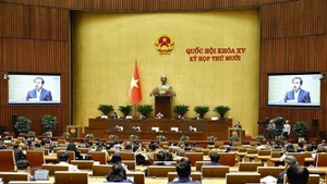 Министр сельского хозяйства и окружающей среды Чан Дык Тханг дал разъяснения и уточнил ряд вопросов, поднятых депутатами Национального собрания. (Фото: ВИА)