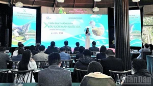 Общий вид форума.