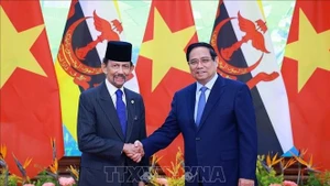 Премьер-министр Фам Минь Тьинь встречается с Султаном Брунея-Даруссалама Хаджи Хассаналом Болкиахом. (Фото: ВИА)