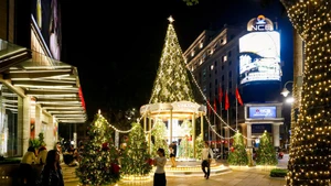 Рождественские елки Ханоя освещают праздничный сезон