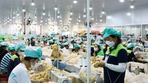 Рабочие на производстве в промышленной зоне Зулонг, провинция Кханьхоа.