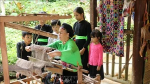 Народность Тай стремится сохранить культурную самобытность