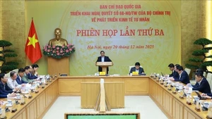 Премьер-министр Фам Минь Тьинь председательствует на заседании. (Фото: ВИА)