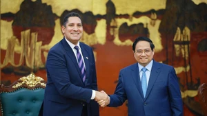 Премьер-министр Фам Минь Тьинь принимает Йохана Ндиси, Посла Королевства Швеция во Вьетнаме. (Фото: ВИА)