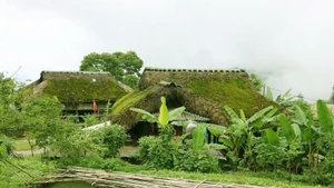 Дома с зелёными мшистыми крышами среди горных лесов приграничной коммуны Тханьтхюй (провинция Туенкуанг). (Фото: ВИА)