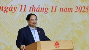 Премьер-министр Фам Минь Тьинь председательствует на заседании. (Фото: ВИА)