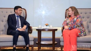 Заместитель министра Нгуен Суан Санг на переговорах с Министром Аукье де Фрис.