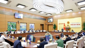 Третье заседание Национального избирательного совета состоялось 10 ноября (Фото: ВИА)