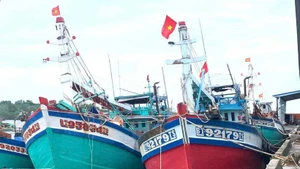 Рыболовные суда заходят в рыбный порт Бачи общины Тантхуй провинции Виньлонг. (Фото: baovinhlong.com.vn)