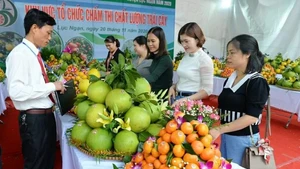 Фестиваль фруктов провинции Бакнинь 2025 года пройдёт с 5 по 10 декабря.