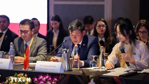 Заместитель генерального аудитора Вьетнама Доан Ань Тхо выступает на мероприятии. (Фото: ВИА)