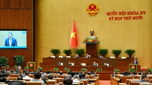 Пленарное заседание в первой половине дня 11 ноября. (Фото: Тхюи Нгуен)