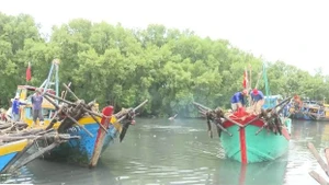 Провинция Донгтхап завершила регистрацию своего флота из 1505 рыболовных судов. (Фото: ВИA)