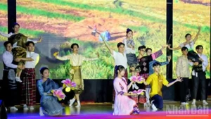 Яркая художественная программа в исполнении иностранных студентов, обучающихся во Вьетнаме, в рамках мероприятия.