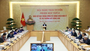 Премьер-министр Фам Минь Тьинь председательствует на заседании (Фото: ВИА)