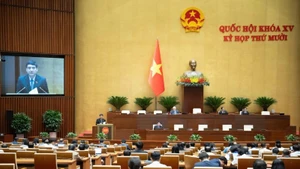 Депутаты НС работают в зале заседаний. (Фото: НС Вьетнама)