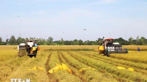 Прорывные меры политики и оперативность их реализации вселяют в людей большие ожидания относительно нового качества жизни. (Фото: ВИА)