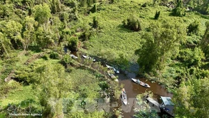 В 2026 году будет завершено формирование базы данных о лесах в целях адаптации к Регламенту ЕС о регулировании импорта и экспорта продукции, не связанной с обезлесением и деградацией лесов. (Фото: ВИА)