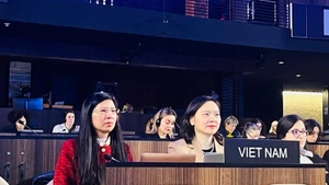 Посол Нгуен Тхи Ван Ань выступает на сессии.