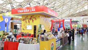 Продукция Центрального Нагорья представлена на ярмарке жителям и туристам. (Фото: ВИА)