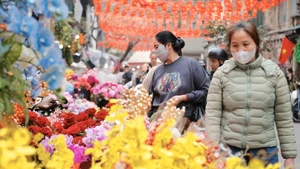 Цветочный рынок Ханглыок оживлён в преддверии Тэт Бинь Нго 2026 года