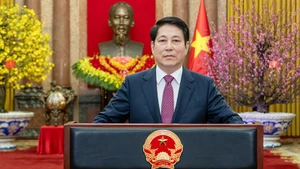 Послание Президента Лыонг Кыонга по случаю Нового года по лунному календарю – Тэта Бинь Нго