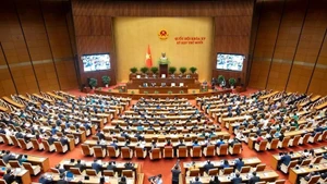 На десятой сессии Национальное собрание рассматривает принятие Закона о кибербезопасности на основе объединения двух законов. (Фото: VOA)