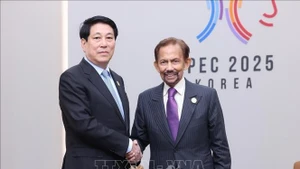 Президент Лыонг Кыонг встречается с Султаном Брунея Хассаналом Болкиахом. (Фото: ВИА)