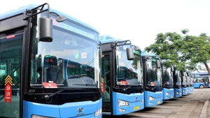 Электробусы в городе Хошимин. (Фото: ВИА)