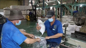 Рабочие компании Phuoc Thanh II Co., Ltd. упаковывают рис для экспорта. (Фото: ВИА)