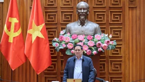 Премьер-министр Фам Минь Тьинь выступает на совещании. (Фото: Чан Хай)