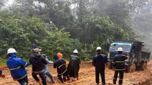 Рабочие Электроэнергетической компании провинции Куангчи, преодолевая все трудности, прилагают усилия для восстановления электроснабжения отдалённых и труднодоступных деревень и поселений до 15 декабря.