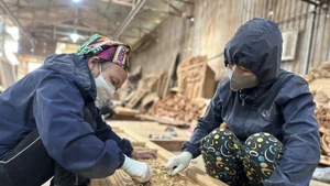 На деревообрабатывающем предприятии в бывшей провинции Виньфук (ныне Футхо). (Фото: ВИА)