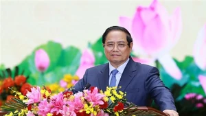 Премьер-министр Фам Минь Тьинь, секретарь Правительственного парткомитета, выступил с речью на съезде. (Фото: ВИА)