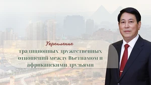 Укрепление традиционных дружественных отношений между Вьетнамом и африканскими друзьями