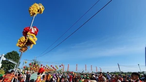 Выступление танца льва на улице Онгланг: город Кантхо встречает гостей в период празднования Лунного Нового года. (Фото: ВИА)