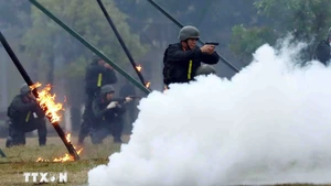 Сотрудники полицейского миротворческого подразделения № 1 демонстрируют навыки и приемы ведения боя, а также отработку возможных ситуаций, возникающих в условиях реальных боевых действий. (Фото: ВИА)