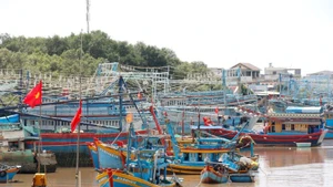 Преодоление «жёлтой карточки» ННН-промысла на основе цифровых платформ управления рыболовными судами. (Фото: ВИА)