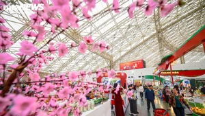 Весенняя ярмарка 2026 года привлекла большое количество посетителей, пришедших посмотреть экспозиции и совершить покупки. (Фото: VTCNews)