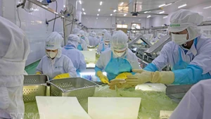 Производственная линия по переработке алоэ компании VietFarm. (Фото: ВИА)