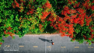 В преддверии праздников по случаю Дня воссоединения страны 30 апреля и Первомая вьетнамские туристы все чаще выбирают зарубежные поездки на близкие расстояния и нестандартные форматы отдыха. (Иллюстративное фото: ВИА)