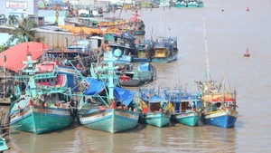 Необходимо модернизировать электронную систему прослеживаемости, обеспечив её прозрачность и эффективность в борьбе с незаконным промыслом водных биоресурсов. Иллюстративное фото. (Источник: ВИА)