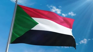 Поздравительная телеграмма Министру иностранных дел и международного сотрудничества Судана