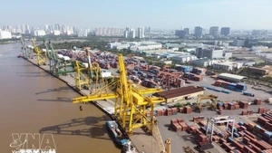 Погрузочно-разгрузочные работы с контейнерами в порту Тантуан — Акционерная компания «Сайгонский порт». (Фото: ВИА)