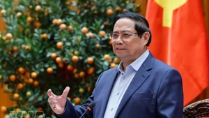 Премьер-министр Фам Минь Тьинь выступил на заседании. (Фото: ВИА)