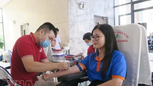 Молодой доброволец сдает кровь в рамках программы «Красное воскресенье» 2026 года. (Фото: ВИА)