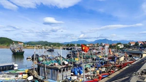 В настоящее время в Кханьхоа насчитывается 5 120 рыболовных судов длиной 6 м и более, все они зарегистрированы, лицензированы и внесены в национальную базу данных рыбного хозяйства (VNFishbase). (Иллюстративное фото: ВИА)