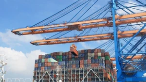 Международный порт Gemalink, Фуми, провинция Бария-Вунгтау. (Фото: ВИА)