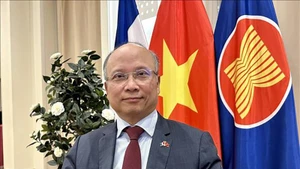 Посол Вьетнама во Франции Динь Тоан Тханг. Фото: ВИА